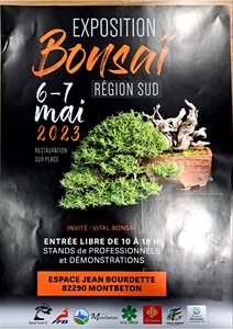 Exposition Bonsaï
