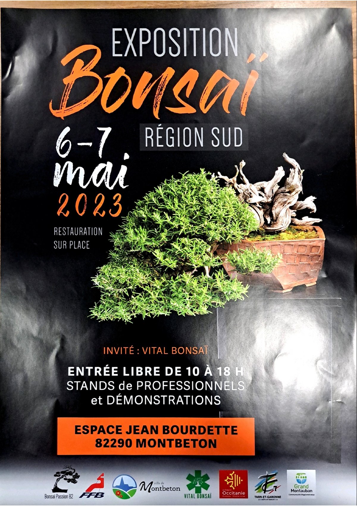 Exposition Bonsaï Ville de Montbeton